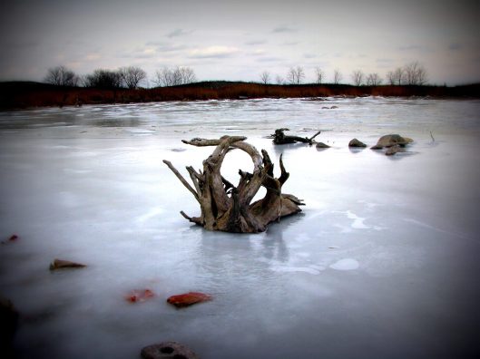 843925_10151497389667160_2037001476_o