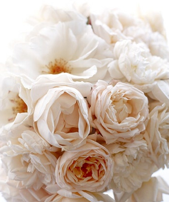 pick_blush_peonies