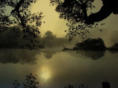 L.C.Petcu - inserare