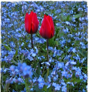 noi-doi-si-restul-lumii-2- nu-ma-uita