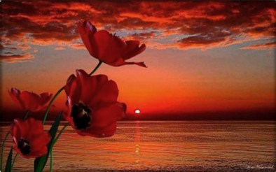 Bitolbo, pana la capat's photo