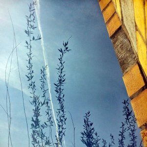 flying_to_pula_by_kizukitamura-d7ipfpj