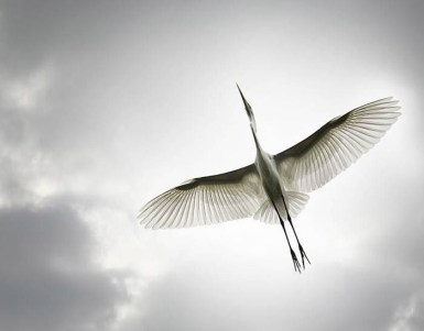 tumblr_m32z4uSbg01qa944oo1_1280-cocor