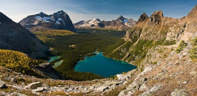 Lake O'Hara From Yukness Ledges