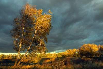 d03212c12c_herbst_sturm_abend_gr