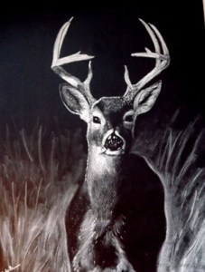 dscf0810-copy-jpg1369227061