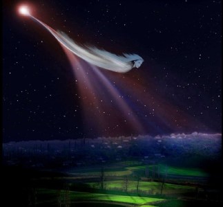 fine-art-photos-by-igor-zenin-2-51-728