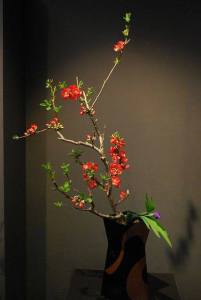 10306395_836244949733706_4319683713712862630_n-ramura inflorita