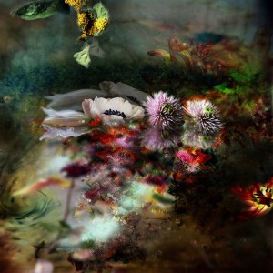 Isabelle_Menin_009-10