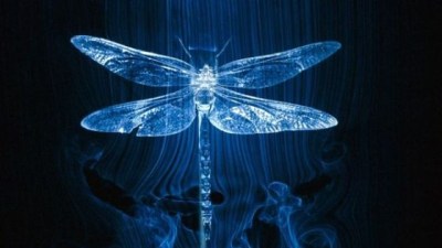 s560x316_Libelula_intr-un_tunel_de_vant_1
