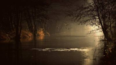 1896730_705710362879956_2021027552209525716_n- photo by Marko Reed...