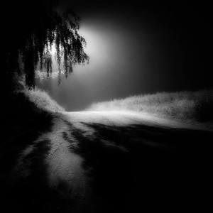 10353177_10201957070127137_2709780745223816433_n-Przemyslav Wielicki