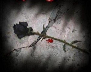 poze-dragoste_dragoste-ranita-300x238