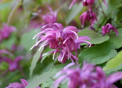 ????????????????????