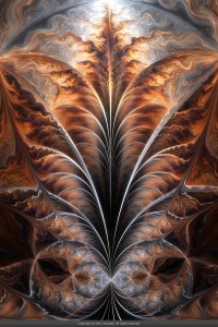 VM_fractal18- Xyrus, Fractal Flame