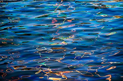 12294_1597187x550-foto by mary mansey