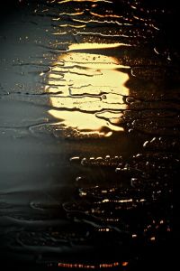 f8c78b2934701a2def37c494faabdf0b