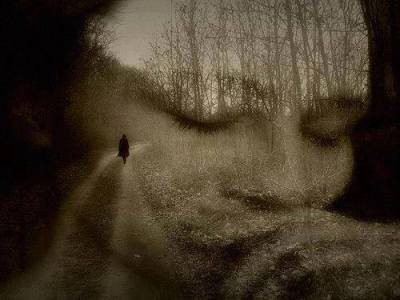 10399677_1329120167113740_8997172589666940309_n