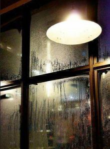 12141139_421790808011302_3485253378179690966_o