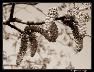 3512897454_8aa35bba22