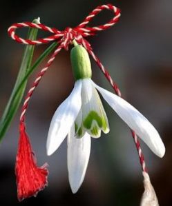 72ce93dadcebae619cb3ff6fa8b8d4aa