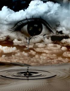 736dded55a4ec3fdeac7329bb61f638b