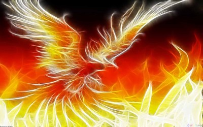Creative-Widescreen-Phoenix-Image