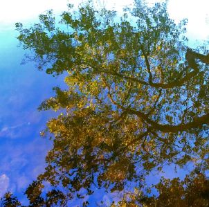 10445958_297255170453236_1700145054425318215_n-Naab 3