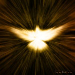 fe21087fb0296a4b905d82309ece8565