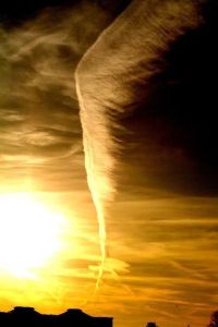 6302ceff1a5669ea453ba1647aaa633b