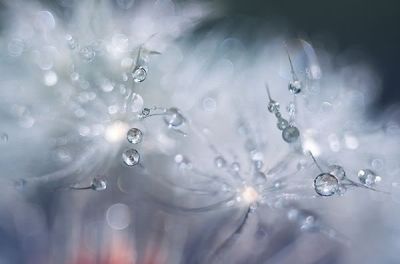 lRgCnvd_PG4Inrg7tlxrpUqRb6vqALpMo6LlzlkmLa7i2tmGXzpb2A==