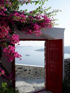 11050811_10205276137197446_5972081748609406683_n