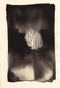 3006b354f1dcd798fd0994544fccda3b